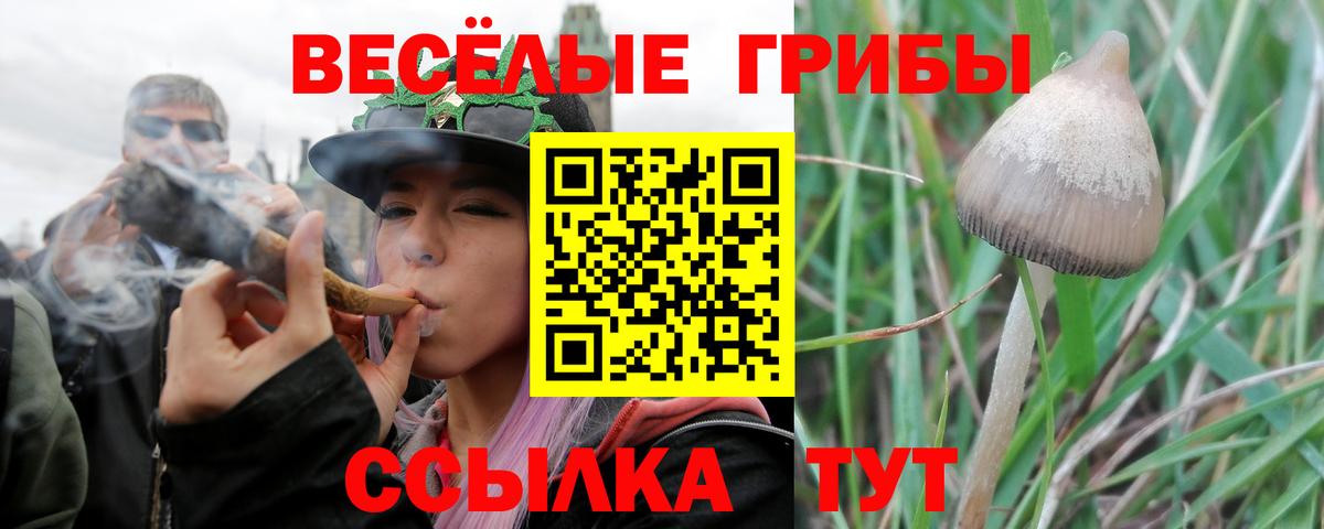 Галлюциногенные грибы мицелий Заинск